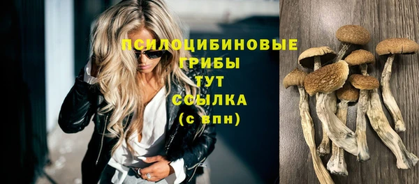 соль ск Алексин