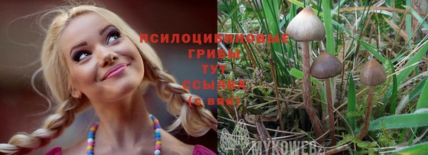 COCAINE Алзамай