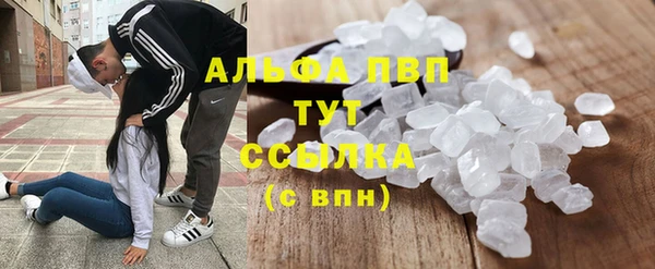 ALPHA-PVP Новозыбков