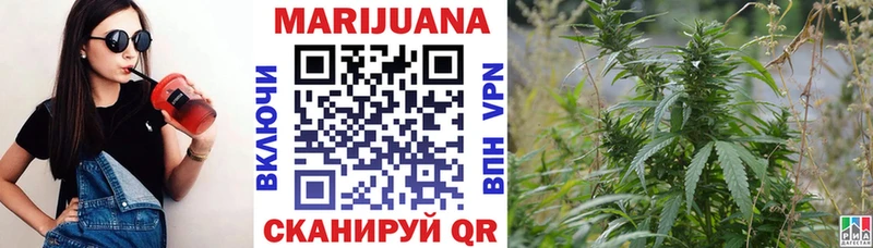 МЕГА ONION  наркота  Сунжа  Шишки марихуана сатива 